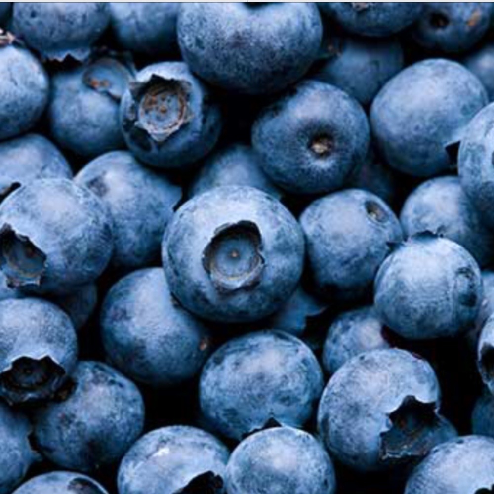 Fresh Blueberries