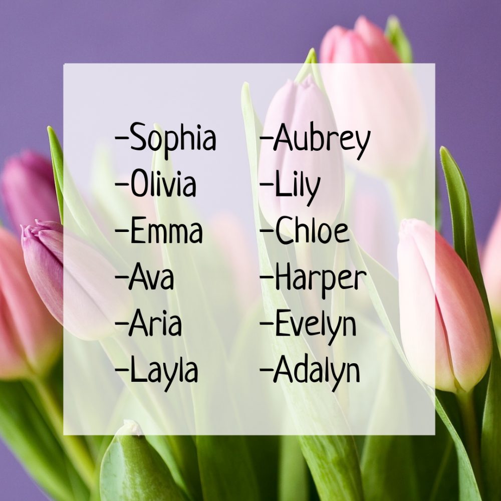 A Decade of Most Popular Baby Girl Names [2010-2019] | Straight Forward Mom