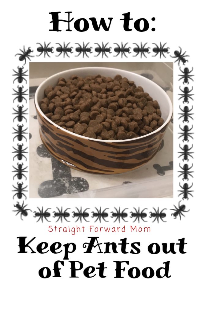 Everything I Use to Keep Ants Out Of My Pet's Food